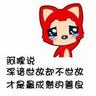 宠物的趣味知识课程